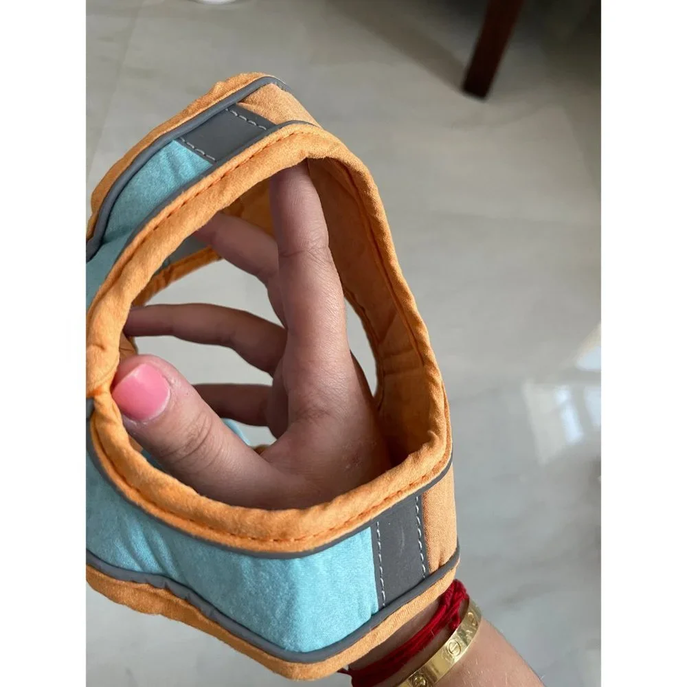 Custom pet harness with leash | Custom dog harness with leash